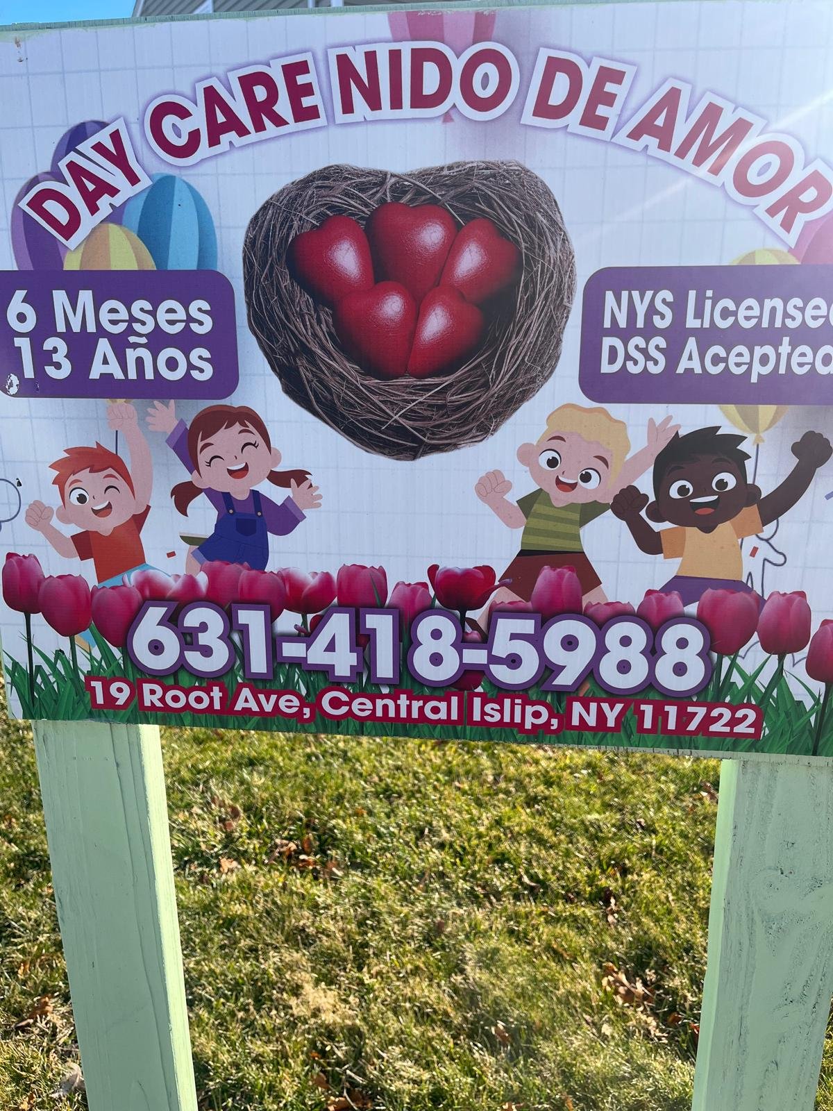 Nuestro Nido / Our Nest